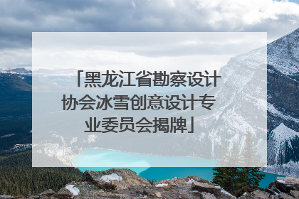 黑龙江省勘察设计协会冰雪创意设计专业委员会揭牌