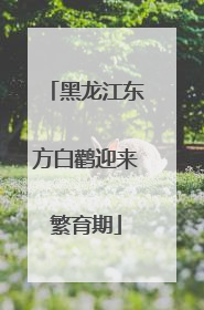 黑龙江东方白鹳迎来繁育期