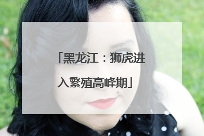 黑龙江：狮虎进入繁殖高峰期