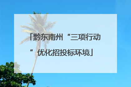 黔东南州“三项行动”优化招投标环境