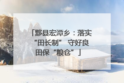 黟县宏潭乡：落实“田长制” 守好良田保“粮仓”