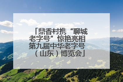 鼎香村携“聊城老字号”惊艳亮相第九届中华老字号（山东）博览会