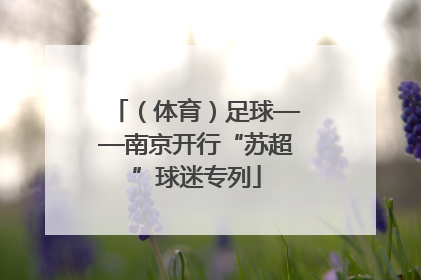 （体育）足球——南京开行“苏超”球迷专列