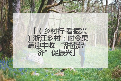 （乡村行·看振兴）浙江乡村：时令果蔬迎丰收 “甜蜜经济”促振兴