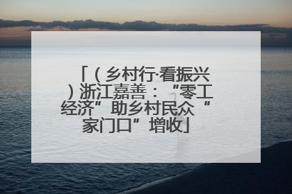 （乡村行·看振兴）浙江嘉善：“零工经济”助乡村民众“家门口”增收