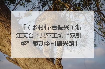 （乡村行·看振兴）浙江天台：共富工坊“双引擎”驱动乡村振兴路
