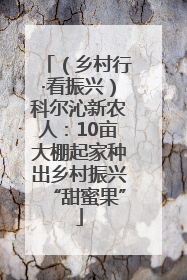 （乡村行·看振兴）科尔沁新农人：10亩大棚起家种出乡村振兴“甜蜜果”