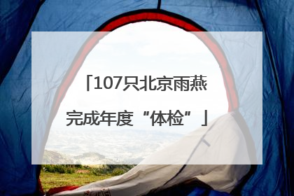 107只北京雨燕完成年度“体检”