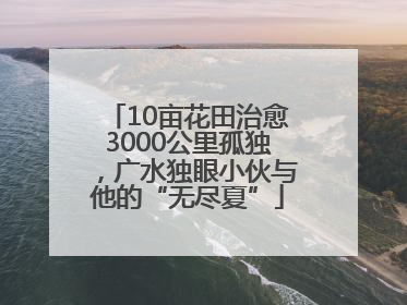 10亩花田治愈3000公里孤独，广水独眼小伙与他的“无尽夏”