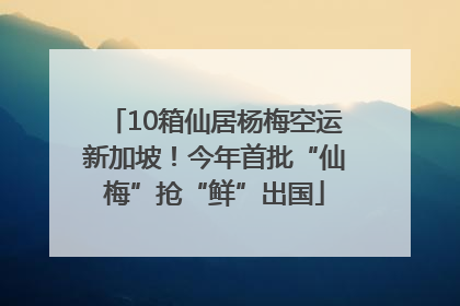 10箱仙居杨梅空运新加坡！今年首批“仙梅”抢“鲜”出国