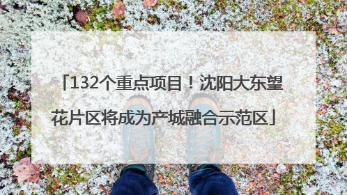 132个重点项目！沈阳大东望花片区将成为产城融合示范区