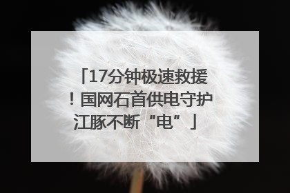 17分钟极速救援！国网石首供电守护江豚不断“电”