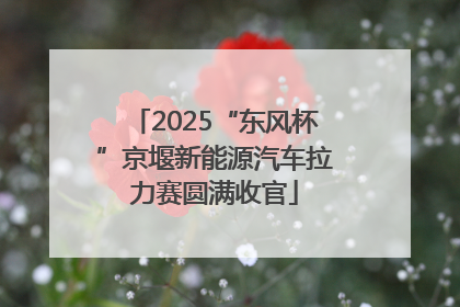 2025“东风杯”京堰新能源汽车拉力赛圆满收官