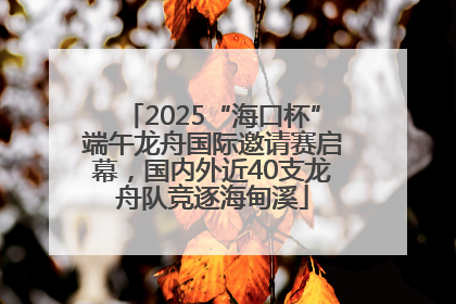 2025“海口杯”端午龙舟国际邀请赛启幕，国内外近40支龙舟队竞逐海甸溪