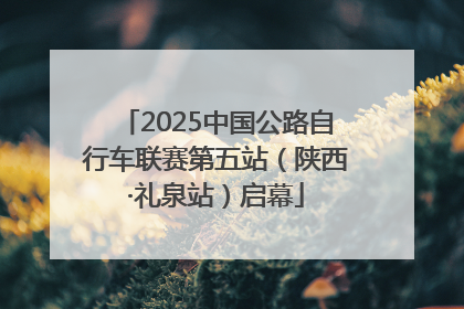 2025中国公路自行车联赛第五站（陕西·礼泉站）启幕