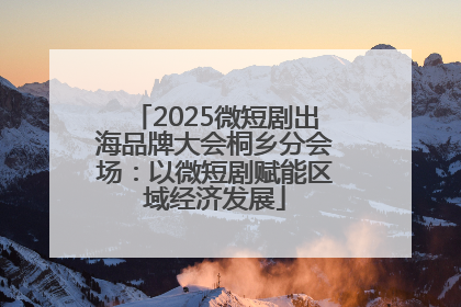 2025微短剧出海品牌大会桐乡分会场：以微短剧赋能区域经济发展