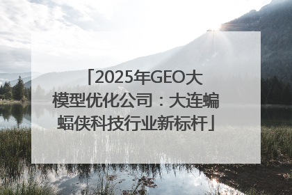 2025年GEO大模型优化公司：大连蝙蝠侠科技行业新标杆