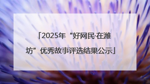 2025年“好网民·在潍坊”优秀故事评选结果公示
