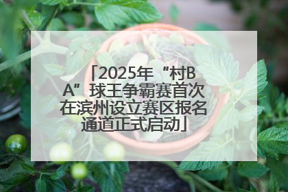 2025年“村BA”球王争霸赛首次在滨州设立赛区报名通道正式启动