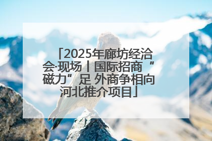 2025年廊坊经洽会·现场丨国际招商“磁力”足 外商争相向河北推介项目