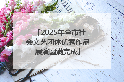 2025年全市社会文艺团体优秀作品展演圆满完成