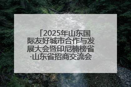 2025年山东国际友好城市合作与发展大会暨印尼楠榜省·山东省招商交流会在济南槐荫举行