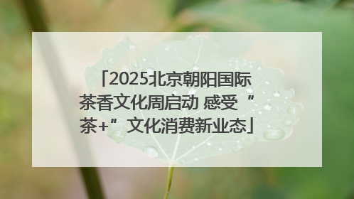 2025北京朝阳国际茶香文化周启动 感受“茶+”文化消费新业态