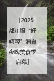 2025都江堰“好嗨啤”消夏夜啤美食季启幕