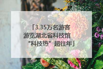 3.35万名游客游览湖北省科技馆 “科技热”超往年