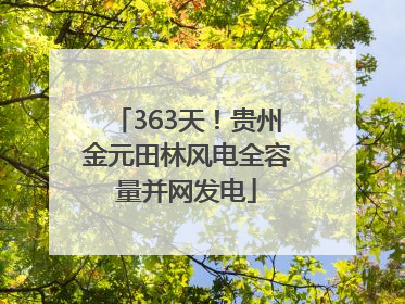 363天！贵州金元田林风电全容量并网发电