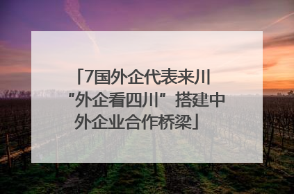 7国外企代表来川 “外企看四川”搭建中外企业合作桥梁