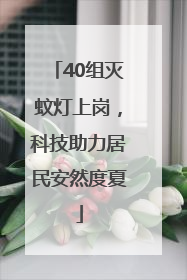 40组灭蚊灯上岗，科技助力居民安然度夏