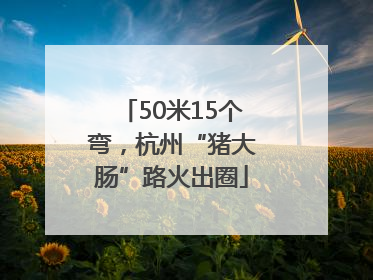 50米15个弯，杭州“猪大肠”路火出圈