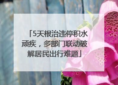 5天根治违停积水顽疾，多部门联动破解居民出行难题