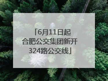 6月11日起 合肥公交集团新开324路公交线