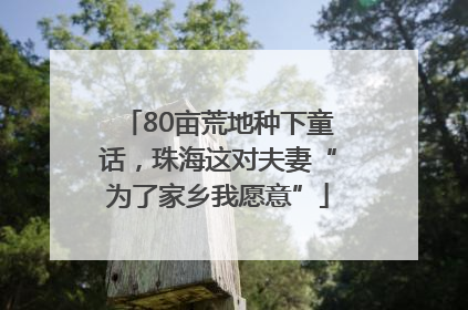 80亩荒地种下童话,珠海这对夫妻“为了家乡我愿意”