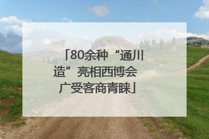 80余种“通川造”亮相西博会 广受客商青睐