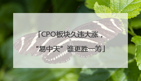 CPO板块久违大涨，“易中天”谁更胜一筹