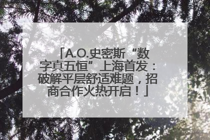 A.O.史密斯“数字真五恒”上海首发：破解平层舒适难题，招商合作火热开启！