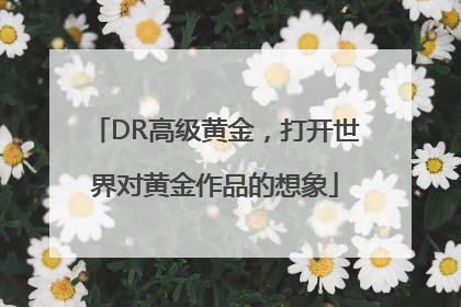 DR高级黄金，打开世界对黄金作品的想象