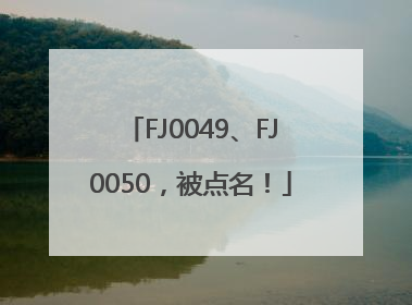 FJ0049、FJ0050，被点名！